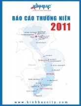 Báo cáo thường niên 2011