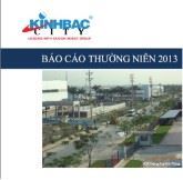 Báo cáo thường niên 2013